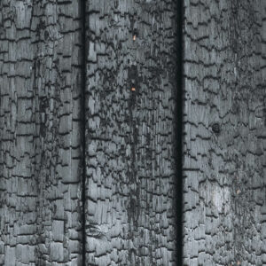 tacca_colore_BLACK_SSB